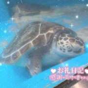 ヒメ日記 2025/08/03 23:29 投稿 あや ぽちゃカワイイ！