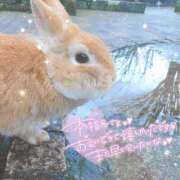 ヒメ日記 2025/08/24 08:00 投稿 あや ぽちゃカワイイ！