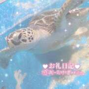 ヒメ日記 2025/09/15 07:45 投稿 あや ぽちゃカワイイ！