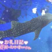 ヒメ日記 2025/09/16 08:00 投稿 あや ぽちゃカワイイ！