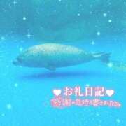 ヒメ日記 2025/09/22 07:45 投稿 あや ぽちゃカワイイ！