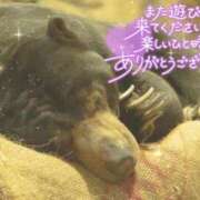 ヒメ日記 2025/10/01 23:30 投稿 あや ぽちゃカワイイ！