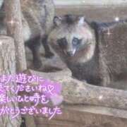 ヒメ日記 2025/10/08 23:45 投稿 あや ぽちゃカワイイ！