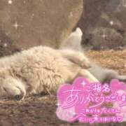 ヒメ日記 2025/10/09 23:30 投稿 あや ぽちゃカワイイ！