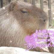 ヒメ日記 2025/11/01 07:15 投稿 あや ぽちゃカワイイ！