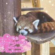 ヒメ日記 2025/11/04 23:45 投稿 あや ぽちゃカワイイ！