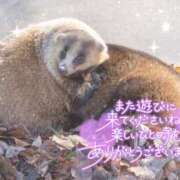 あや お礼 ぽちゃカワイイ！