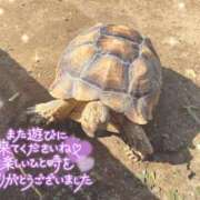 あや お礼 ぽちゃカワイイ！