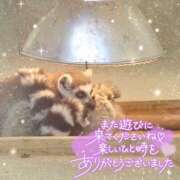 ヒメ日記 2025/12/18 23:45 投稿 あや ぽちゃカワイイ！