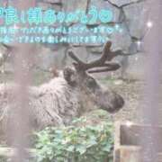 ヒメ日記 2025/12/22 23:45 投稿 あや ぽちゃカワイイ！