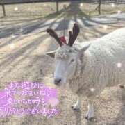 ヒメ日記 2025/12/23 23:30 投稿 あや ぽちゃカワイイ！