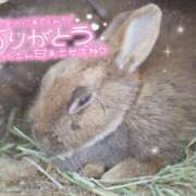 ヒメ日記 2025/12/27 07:15 投稿 あや ぽちゃカワイイ！