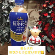 ヒメ日記 2024/12/15 19:00 投稿 美咲 TSUBAKI（水戸）