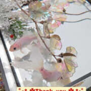 ヒメ日記 2024/12/22 23:00 投稿 美咲 TSUBAKI（水戸）