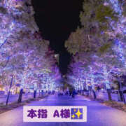 ヒメ日記 2024/12/23 00:00 投稿 美咲 TSUBAKI（水戸）