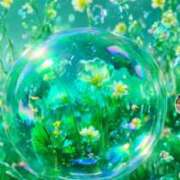 ヒメ日記 2025/02/12 07:00 投稿 美咲 TSUBAKI（水戸）