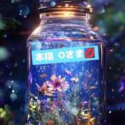 ヒメ日記 2025/02/12 07:31 投稿 美咲 TSUBAKI（水戸）