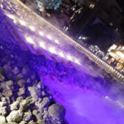 ヒメ日記 2025/04/22 20:15 投稿 美咲 TSUBAKI（水戸）