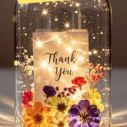 ヒメ日記 2025/06/30 18:38 投稿 美咲 TSUBAKI（水戸）