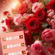 ヒメ日記 2026/01/18 13:14 投稿 美咲 TSUBAKI（水戸）