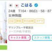 ヒメ日記 2024/08/12 15:26 投稿 こはる マリン宇都宮店