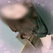 ヒメ日記 2025/04/05 09:41 投稿 たえ 即アポマダム～名古屋店～