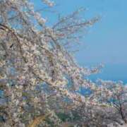 ヒメ日記 2025/04/05 20:21 投稿 ふゆつき 熟女の風俗最終章 相模原店