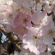 ヒメ日記 2025/03/25 22:51 投稿 ふゆつき 熟女の風俗最終章 町田店