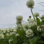 ヒメ日記 2025/05/09 20:50 投稿 ふゆつき 熟女の風俗最終章 町田店