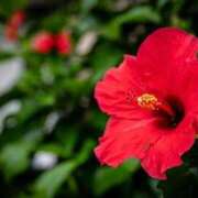 ヒメ日記 2025/08/15 12:01 投稿 ふゆつき 熟女の風俗最終章 町田店