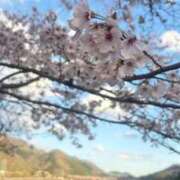 ヒメ日記 2026/04/04 10:10 投稿 ふゆつき 熟女の風俗最終章 町田店