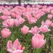 ふゆつき こちらも春の訪れ✨ 熟女の風俗最終章 町田店