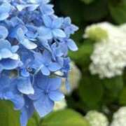 ヒメ日記 2026/05/28 17:34 投稿 ふゆつき 熟女の風俗最終章 町田店