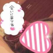 ヒメ日記 2024/12/11 12:28 投稿 雛森えみり 宝石箱(すすきの)