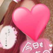 ヒメ日記 2025/04/08 16:48 投稿 雛森えみり 宝石箱(すすきの)