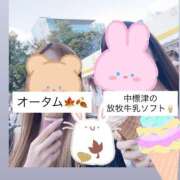 ヒメ日記 2025/09/22 18:36 投稿 雛森えみり 宝石箱(すすきの)