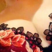 ヒメ日記 2025/12/26 17:34 投稿 雛森えみり 宝石箱(すすきの)