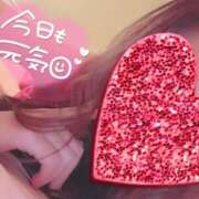 ヒメ日記 2026/02/03 15:48 投稿 雛森えみり 宝石箱(すすきの)