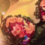 ヒメ日記 2026/02/16 19:04 投稿 雛森えみり 宝石箱(すすきの)