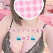 ヒメ日記 2025/04/29 12:36 投稿 なる マリン宮殿水戸店