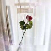 あこ 31日出勤🍒 西川口マーメイド