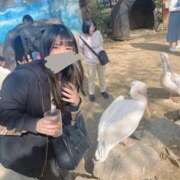 ヒメ日記 2026/04/24 12:43 投稿 あまね 花火-hanabi-(すすきの)