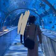 ヒメ日記 2026/08/16 07:33 投稿 あまね 花火-hanabi-(すすきの)
