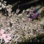 ヒメ日記 2025/04/02 02:42 投稿 さつき 福岡覚醒Ｍ性感 女医のカルテ