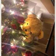 ヒメ日記 2025/12/24 02:53 投稿 さつき 福岡覚醒Ｍ性感 女医のカルテ