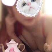 ヒメ日記 2025/05/21 19:03 投稿 及川　ひなの 三ツ星Class