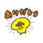 ヒメ日記 2025/02/10 17:42 投稿 みさ 若葉