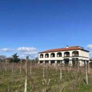 ヒメ日記 2024/12/13 20:59 投稿 ひたき 広尾アロマプリンセス(ユメオト)