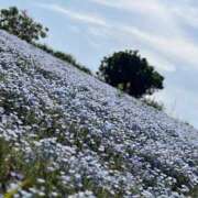 ヒメ日記 2025/05/03 17:38 投稿 るい 群馬渋川水沢ちゃんこ