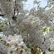 手島 おはようございます 鶯谷デッドボール